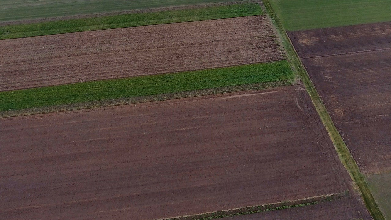 CEJA - Farming4Future